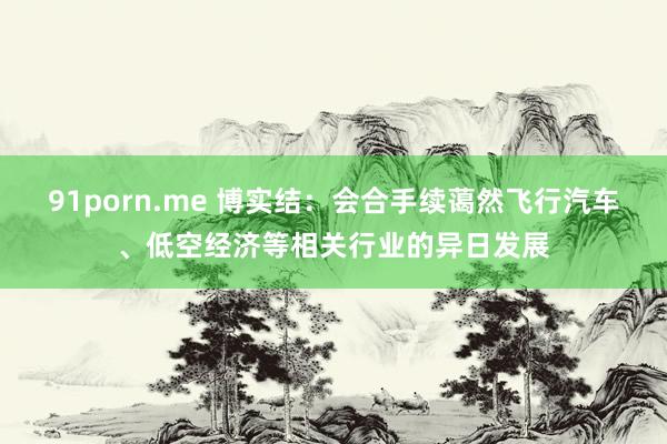 91porn.me 博实结：会合手续蔼然飞行汽车、低空经济等相关行业的异日发展