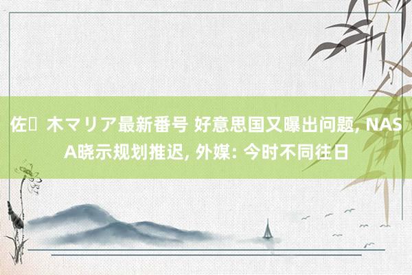 佐々木マリア最新番号 好意思国又曝出问题, NASA晓示规划推迟, 外媒: 今时不同往日