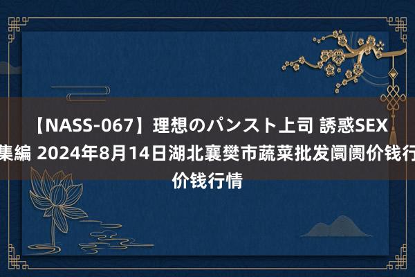 【NASS-067】理想のパンスト上司 誘惑SEX総集編 2024年8月14日湖北襄樊市蔬菜批发阛阓价钱行情