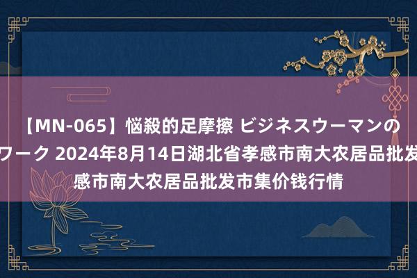 【MN-065】悩殺的足摩擦 ビジネスウーマンの淫らなフットワーク 2024年8月14日湖北省孝感市南大农居品批发市集价钱行情