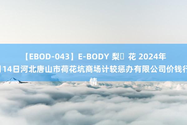 【EBOD-043】E-BODY 梨々花 2024年8月14日河北唐山市荷花坑商场计较惩办有限公司价钱行情