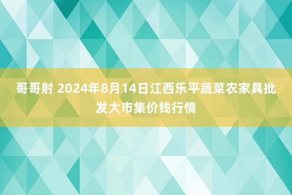 哥哥射 2024年8月14日江西乐平蔬菜农家具批发大市集价钱行情