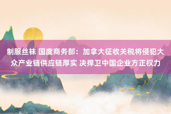 制服丝袜 国度商务部：加拿大征收关税将侵犯大众产业链供应链厚实 决捍卫中国企业方正权力