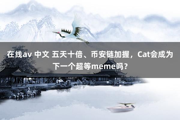 在线av 中文 五天十倍、币安链加握，Cat会成为下一个超等meme吗？