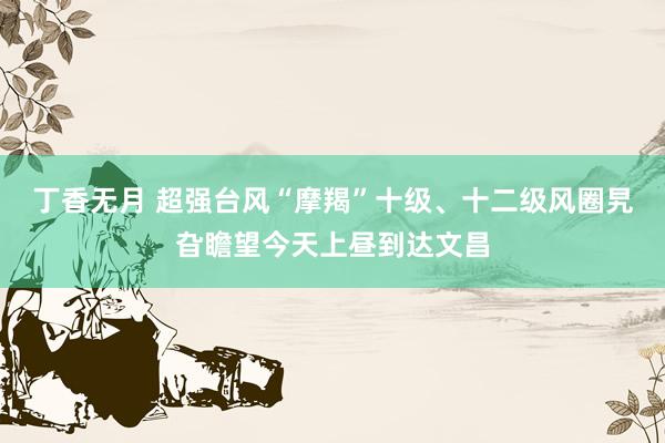 丁香无月 超强台风“摩羯”十级、十二级风圈旯旮瞻望今天上昼到达文昌