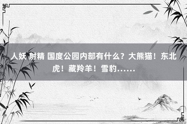 人妖 射精 国度公园内部有什么？大熊猫！东北虎！藏羚羊！雪豹……