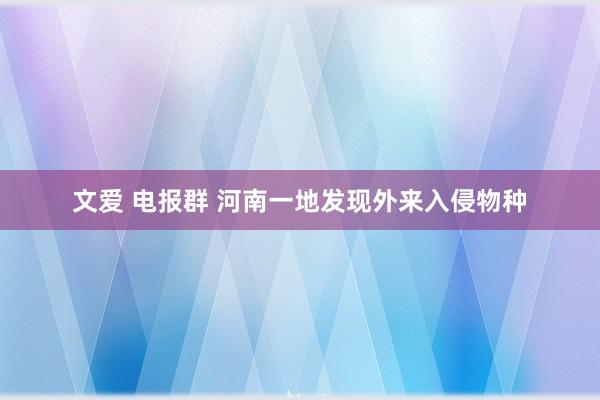 文爱 电报群 河南一地发现外来入侵物种