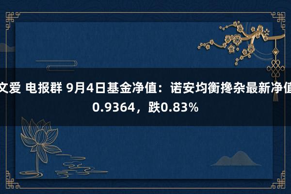 文爱 电报群 9月4日基金净值：诺安均衡搀杂最新净值0.9364，跌0.83%