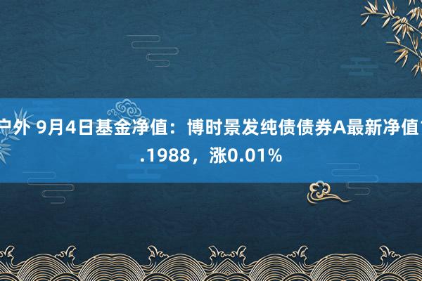 户外 9月4日基金净值：博时景发纯债债券A最新净值1.1988，涨0.01%