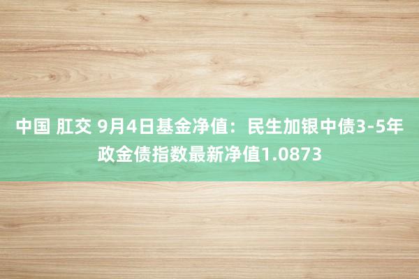 中国 肛交 9月4日基金净值：民生加银中债3-5年政金债指数最新净值1.0873