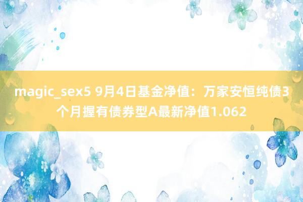 magic_sex5 9月4日基金净值：万家安恒纯债3个月握有债券型A最新净值1.062