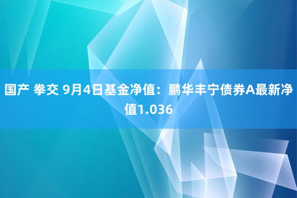 国产 拳交 9月4日基金净值：鹏华丰宁债券A最新净值1.036