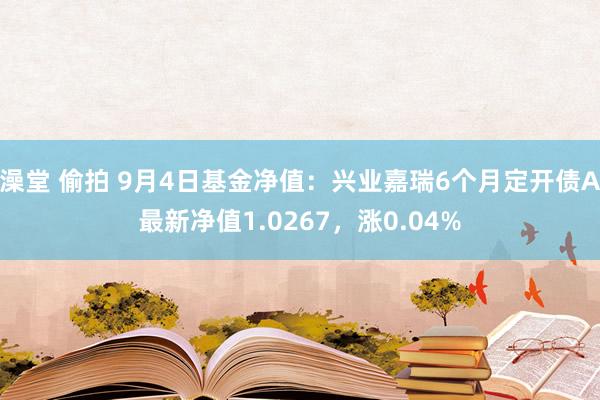 澡堂 偷拍 9月4日基金净值：兴业嘉瑞6个月定开债A最新净值1.0267，涨0.04%