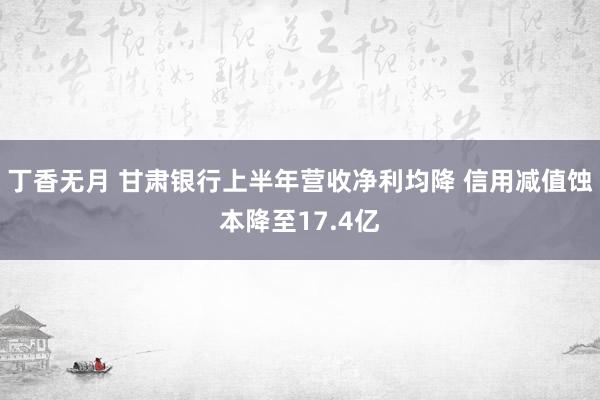 丁香无月 甘肃银行上半年营收净利均降 信用减值蚀本降至17.4亿