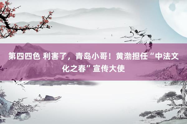 第四四色 利害了，青岛小哥！黄渤担任“中法文化之春”宣传大使