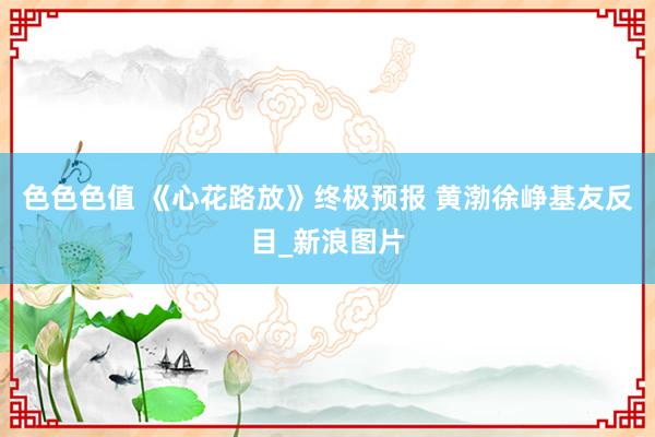 色色色值 《心花路放》终极预报 黄渤徐峥基友反目_新浪图片