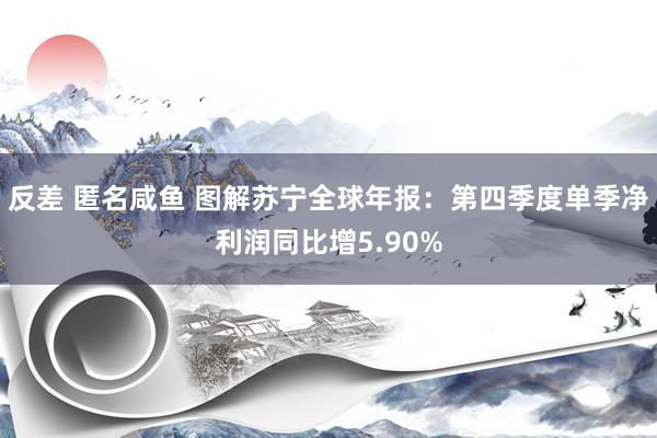 反差 匿名咸鱼 图解苏宁全球年报：第四季度单季净利润同比增5.90%