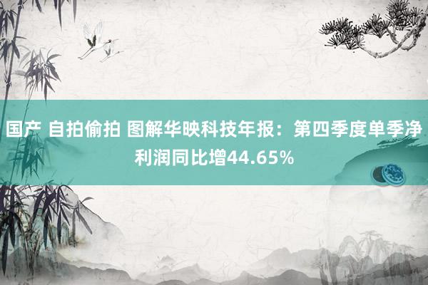 国产 自拍偷拍 图解华映科技年报：第四季度单季净利润同比增44.65%