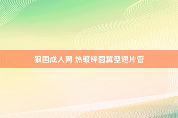 狼国成人网 热镀锌圆翼型翅片管