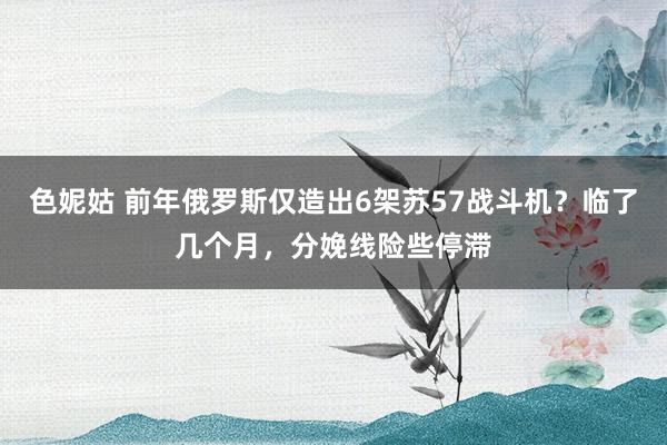 色妮姑 前年俄罗斯仅造出6架苏57战斗机？临了几个月，分娩线险些停滞