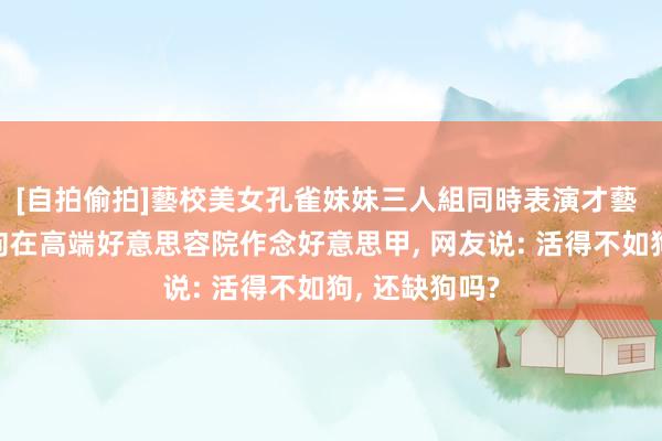 [自拍偷拍]藝校美女孔雀妹妹三人組同時表演才藝 霍念念燕的狗在高端好意思容院作念好意思甲, 网友说: 活得不如狗, 还缺狗吗?