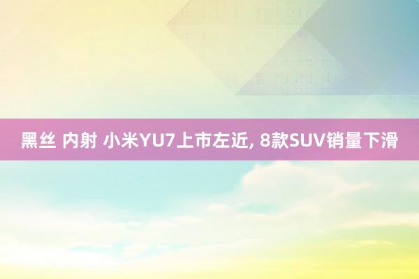 黑丝 内射 小米YU7上市左近, 8款SUV销量下滑