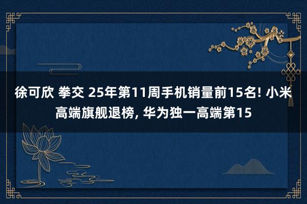 徐可欣 拳交 25年第11周手机销量前15名! 小米高端旗舰退榜, 华为独一高端第15