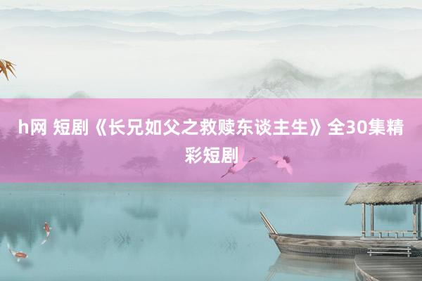 h网 短剧《长兄如父之救赎东谈主生》全30集精彩短剧