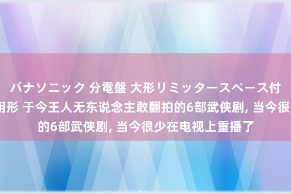 パナソニック 分電盤 大形リミッタースペース付 露出・半埋込両用形 于今王人无东说念主敢翻拍的6部武侠剧, 当今很少在电视上重播了