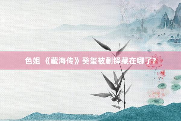 色姐 《藏海传》癸玺被蒯铎藏在哪了?