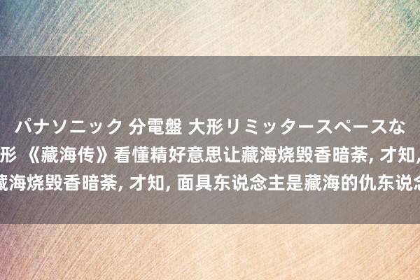 パナソニック 分電盤 大形リミッタースペースなし 露出・半埋込両用形 《藏海传》看懂精好意思让藏海烧毁香暗荼, 才知, 面具东说念主是藏海的仇东说念主