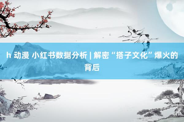 h 动漫 小红书数据分析 | 解密“搭子文化”爆火的背后
