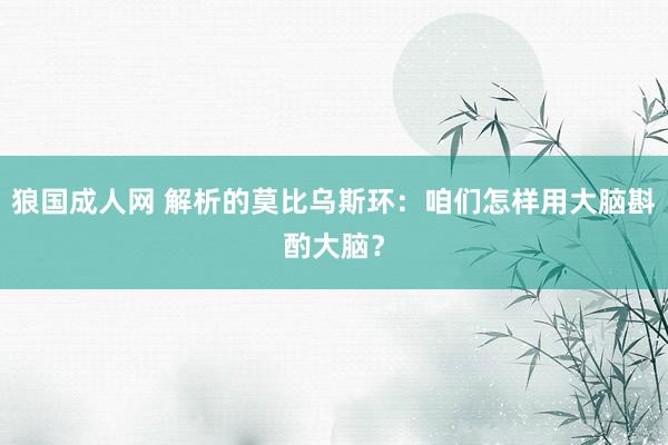 狼国成人网 解析的莫比乌斯环：咱们怎样用大脑斟酌大脑？