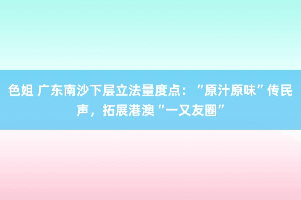色姐 广东南沙下层立法量度点：“原汁原味”传民声，拓展港澳“一又友圈”