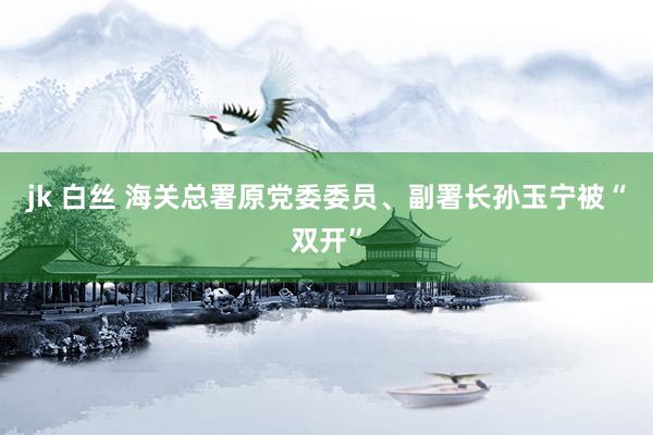 jk 白丝 海关总署原党委委员、副署长孙玉宁被“双开”